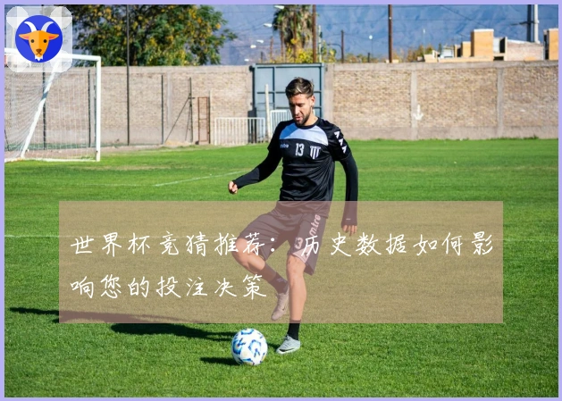 世界杯竞猜推荐：历史数据如何影响您的投注决策