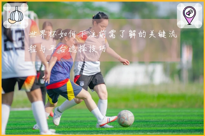 世界杯如何下注前需了解的关键流程与平台选择技巧