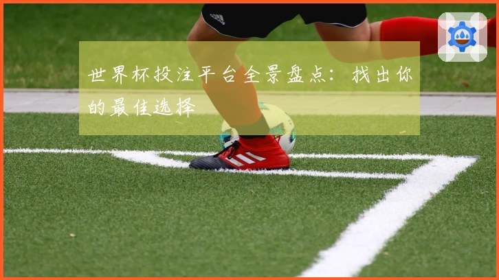 世界杯投注平台全景盘点：找出你的最佳选择